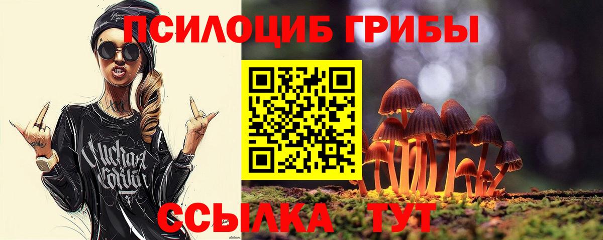 Псилоцибиновые грибы GOLDEN TEACHER Алапаевск